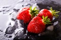 Three fresh red strawberries on slate stone with ice Royalty Free Stock Photo