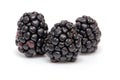 Three fresh ripe blackberries