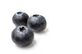 Three fresh ripe Blueberries isolated on white background. Blueberry antioxidant organic superfood Royalty Free Stock Photo