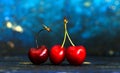 Three Fresh ripe cherries  clise upover blue Royalty Free Stock Photo