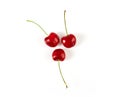 Three fresh ripe cherries Royalty Free Stock Photo