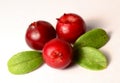 Three fresh ripe cranberries or cowberries on white with leaves Royalty Free Stock Photo