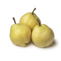 Three fresh ripe Doyenne du Comice pears on white background Royalty Free Stock Photo