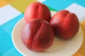 Three Fresh Ripe Nectarine Whole Fruits on White Plate Served on Vibrant Color Tablecloth Royalty Free Stock Photo