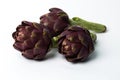 Three fresh roman artichokes isolated on white background Royalty Free Stock Photo