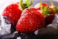 Three fresh strawberries on slate stone with ice Royalty Free Stock Photo