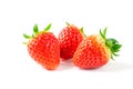 Three fresh Strawberry isolated on white background. fruits Royalty Free Stock Photo