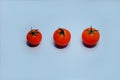 Three fresh tomatoes differents size on blue background. Royalty Free Stock Photo