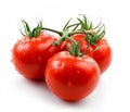 Three fresh tomatoes on white background