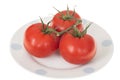 Three Fresh on the Vine Italian Tomatoes Royalty Free Stock Photo