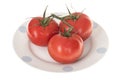 Three Fresh on The vine Tomatoes Royalty Free Stock Photo