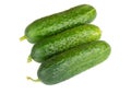 Three freshgreen cucumbers isolated on white Royalty Free Stock Photo
