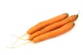 Three freshly harvested carrots Royalty Free Stock Photo