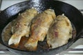 Three fried crucians on pan. Cooking fried fish