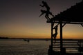 Three friends diving from the dock in Barra Grande, Bahia, Brazil at dusk. Certainly a magical moment to feel part of nature.