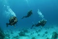 Three friends scuba diving together Royalty Free Stock Photo