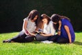Three Friends Studying Together in Nature Royalty Free Stock Photo
