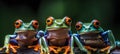 Three frogs bicolor phyllomedusa sit on a branch on a blurred background of the jungle,