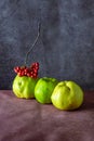Three fruit Quince at doschatom table in red Rowan bunch beam on a blue background 3