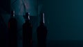 Three full alcohol bottles silhouette.Abstract background and volumetric atmosphere. Royalty Free Stock Photo