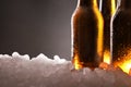 Three full beer bottles on ice and black background detail Royalty Free Stock Photo