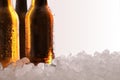 Three full beer bottles on ice and white background detail Royalty Free Stock Photo