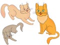 Three funny cartoon cats