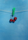 Three funny cherries growths, hanging on rope with clothespin green,on a blue wooden background, vertical Royalty Free Stock Photo