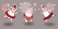 Three funny cute pigs are in a beautiful dresses and pointe shoes dancing ballet. Royalty Free Stock Photo