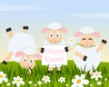 Three Funny Lambs Wishing Happy Easter Royalty Free Stock Photo