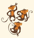 Three funny monkeys. Royalty Free Stock Photo