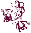 Three funny monkeys. Royalty Free Stock Photo
