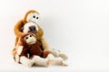 Three Funny Monkeys Royalty Free Stock Photo