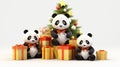 Three funny pandas with Christmas gifts