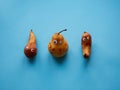 Three funny pears with googly eyes Royalty Free Stock Photo