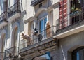 Three funny pigs stand on the balcony of an old house, Spain