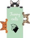 Three funny spying cats. Design for label