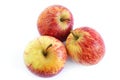 Three gala apples Royalty Free Stock Photo