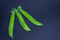 Three garden pea pods on a black background