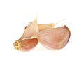 Three garlic cloves isolated on a white background Royalty Free Stock Photo