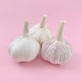 Three garlic on pink background. Square photo image.