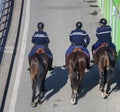 Three gendarmes on horseback in the street in France