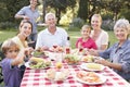 Three Generation Family Enjoying Barbeque In Garden Together Royalty Free Stock Photo