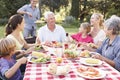 Three Generation Family Enjoying Barbeque In Garden Together Royalty Free Stock Photo