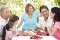 Three Generation Hispanic Couple Enjoying Picnic In Park