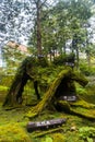 Three Generation Tree inside Alishan National Forest Area in Chiyahi, Taiwan Royalty Free Stock Photo