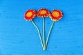 Three gerbera daisy flowers on blue textured canvas background Royalty Free Stock Photo