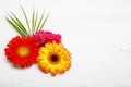 Three Gerbera flowers on white wooden table. Spring decoration with Daisy flower. Royalty Free Stock Photo