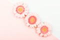 Three gerberas on pastel colors combination background