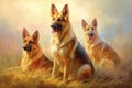 Three German Shepherd dogs sitting in the grass and looking at the camera Royalty Free Stock Photo